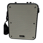 PARLANTE PORTATIL KARAOKE TWS MASTER-G MGFREESTYLE + MICROFONO NEGRO