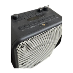 PARLANTE PORTATIL KARAOKE TWS MASTER-G MGFREESTYLE + MICROFONO NEGRO - Imagen 3