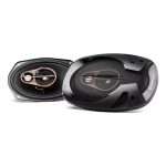 Parlantes Pioneer Ts-r6951s 400 Watts 6x9 3 Vias Ovalados Color Negro
