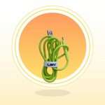 Cable de Alimentación LBN Modelo LBCUT55 Verde: La Guía Definitiva para una Energía Ininterrumpida e Increíble